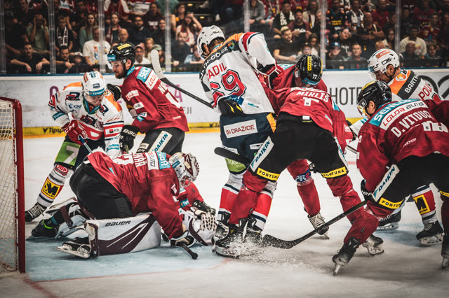 Ice Hockey — photography by Štefan Šraga (photo 13)