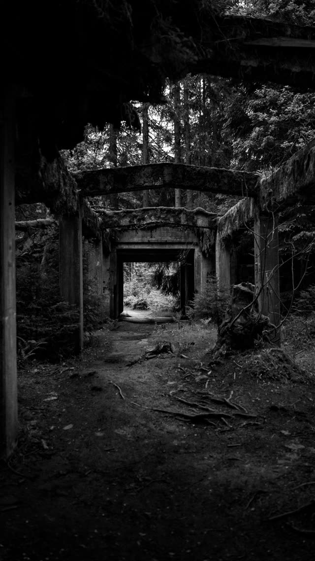 Urbex — photography by Štefan Šraga (photo 5)