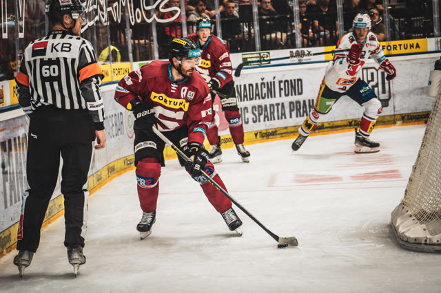 Ice Hockey — photography by Štefan Šraga (photo 5)