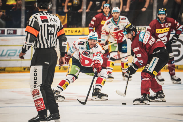 Ice Hockey — photography by Štefan Šraga (photo 14)