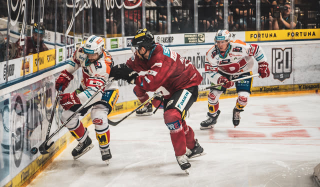 Ice Hockey — photography by Štefan Šraga (photo 15)