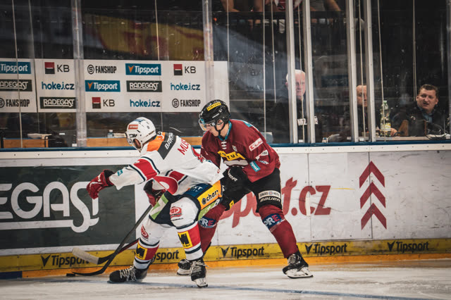 Ice Hockey — photography by Štefan Šraga (photo 3)
