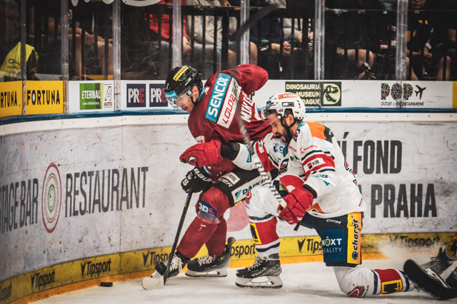 Ice Hockey — photography by Štefan Šraga (photo 4)